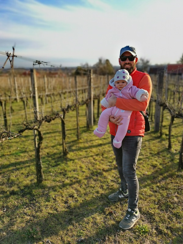 Baldavári szőlőbirtok