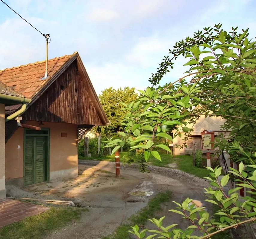 Baldavári pince felújítás előtt