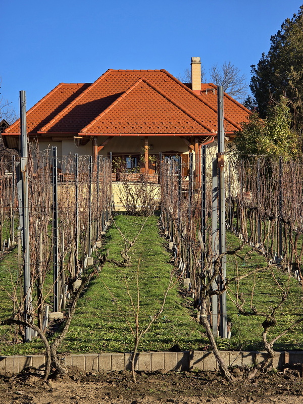 Bejglilejáró túra, ráadás séta