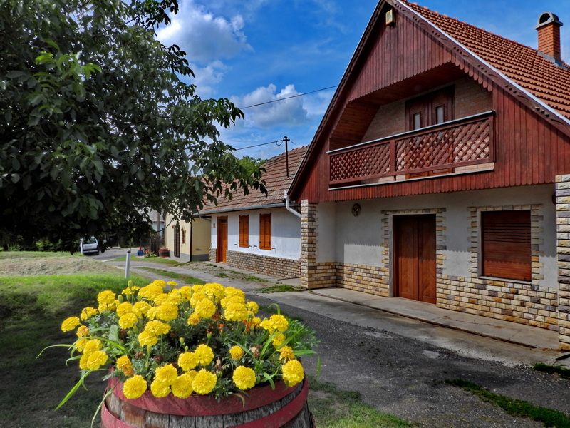 Orlik Pince a Monori Pincefalu Sárfehér során