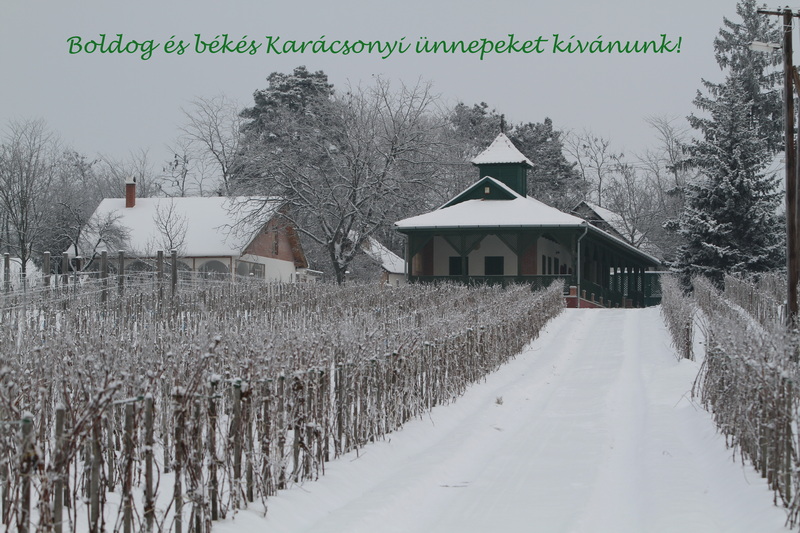 Karácsonyi üdvözlet Monori Pincefalu