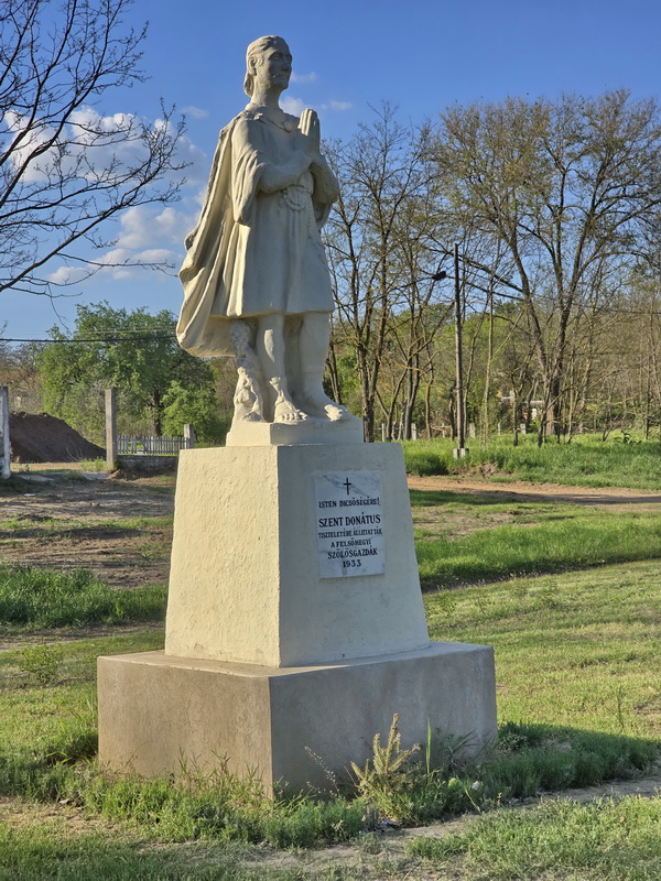 Kóka pincesorai