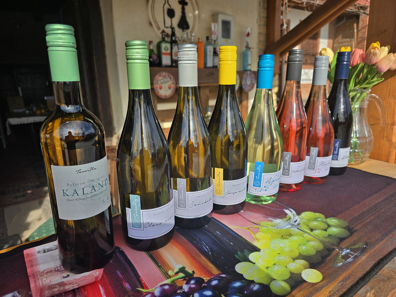 Mohibi Présház, Taverna Borászat