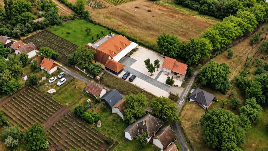 Petrovai Pince