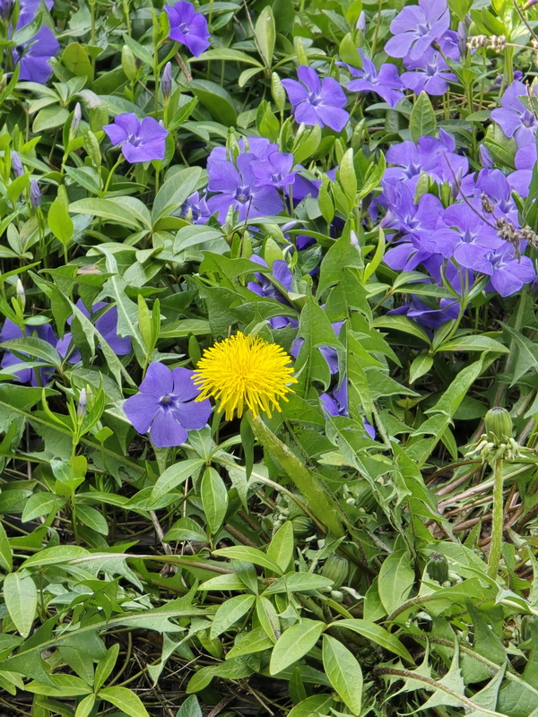 Nagypénteki séta a pincefaluban