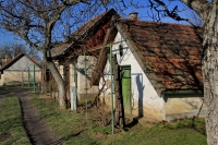 Januári tavasz a Strázsahegyen