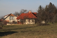 Januári tavasz a Strázsahegyen