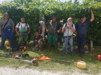 Kőrbe nyírtuk a Strázsahegyet