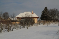 Tél a pincefaluban