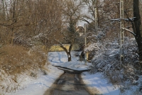 Tél a pincefaluban