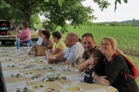 Pincefalvak napja 2018 Györköny