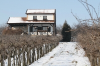 Babits Mihály: Szőlőhegy télen