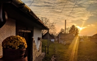Gyenes Rita fotói szőlőinkről és pincéinkről
