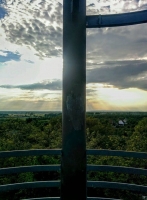 Gyenes Rita fotói szőlőinkről és pincéinkről