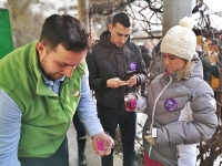 Forraltboros Kalandozások a Monori Pincefaluban 2019