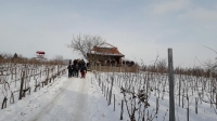 Forraltboros Kalandozások a Monori Pincefaluban 2019
