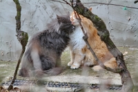 Megérkeztek a megrendelt Giribaldi borok