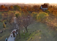 Őszi séta a pincefaluban