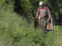 Összefogással a téglagyári pincékért