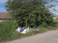 Összefogással a téglagyári pincékért