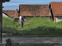 Összefogással a téglagyári pincékért