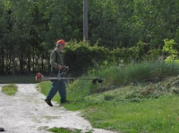 Összefogással a téglagyári pincékért
