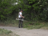 Összefogással a téglagyári pincékért