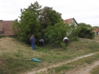 Összefogással a téglagyári pincékért