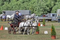 10. Monori Fogathajtó Verseny, galéria