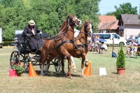 10. Monori Fogathajtó Verseny, galéria