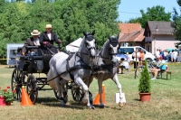 10. Monori Fogathajtó Verseny, galéria