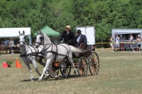 10. Monori Fogathajtó Verseny, galéria