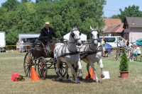 10. Monori Fogathajtó Verseny, galéria