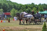 10. Monori Fogathajtó Verseny, galéria