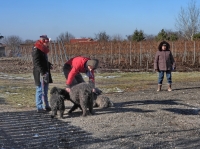 Kirándulás a téglagyári pincéktől a Strázsahegyre
