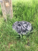 Téglagyári pincék, tavaszi rendrakás és kaszálás