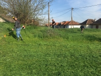 Téglagyári pincék, tavaszi rendrakás és kaszálás