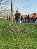 Téglagyári pincék, tavaszi rendrakás és kaszálás