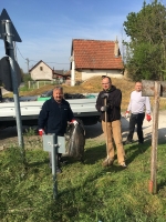 Téglagyári pincék, tavaszi rendrakás és kaszálás