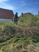 Téglagyári pincék, tavaszi rendrakás és kaszálás