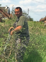 Téglagyári pincék, tavaszi rendrakás és kaszálás