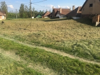 Téglagyári pincék, tavaszi rendrakás és kaszálás