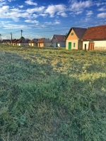 Téglagyári pincék, tavaszi rendrakás és kaszálás
