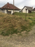 Téglagyári pincék, tavaszi rendrakás és kaszálás