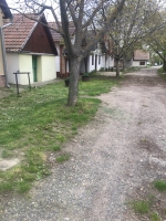 Téglagyári pincék, tavaszi rendrakás és kaszálás