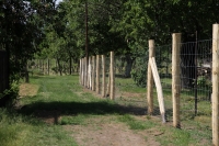 Megnyitott a Fecske Pince