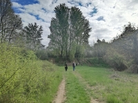 Turistaút avatás és túra Monor és Gyömrő között