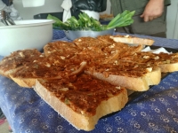 Turistaút avatás és túra Monor és Gyömrő között