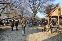 Forralt boros barangolás történései, galéria-1