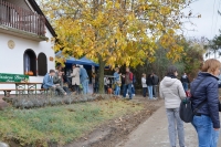 Ilyen volt a TÖK-JÓ barangolások a Monori Pincefaluban